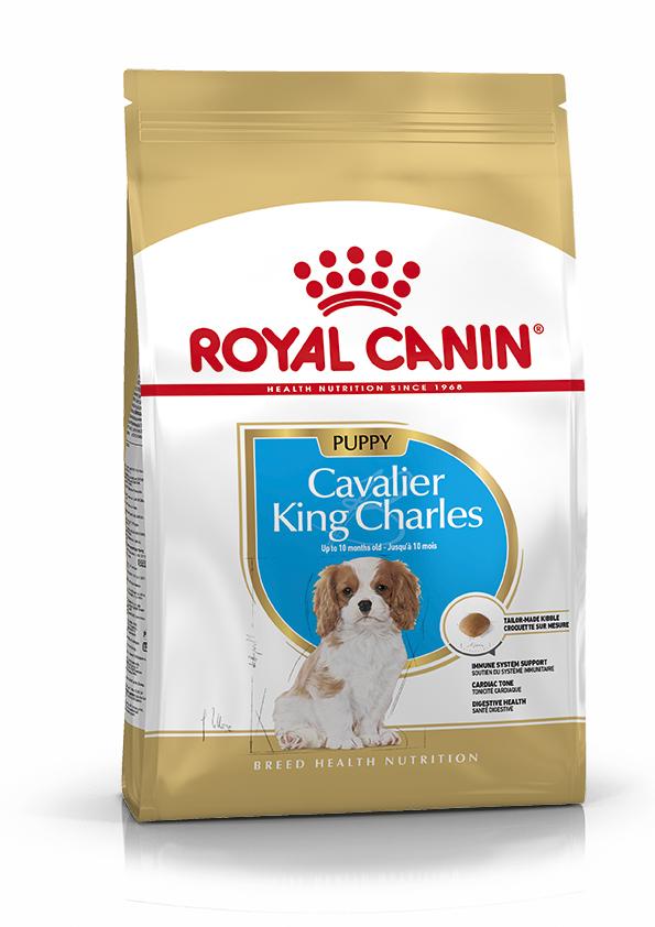 Royal Canin Cavalier King Charles Puppy Dry Dog Food - 1.5k