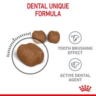 Royal Canin Dental Care Dry Adult Cat Food - 1.5kg