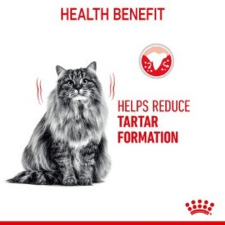 Royal Canin Dental Care Dry Adult Cat Food - 1.5kg