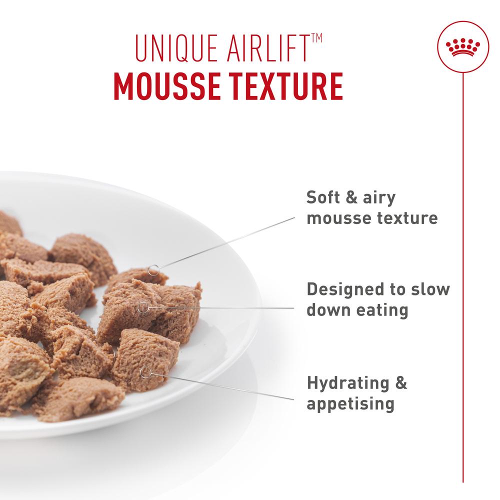 Royal Canin Digestive Airlift Mousse Adult Wet Cat Food 12 x 85g