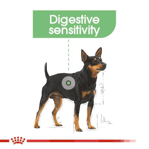 Royal Canin Digestive Care Wet Pouches Adult Dog Food-12x85g