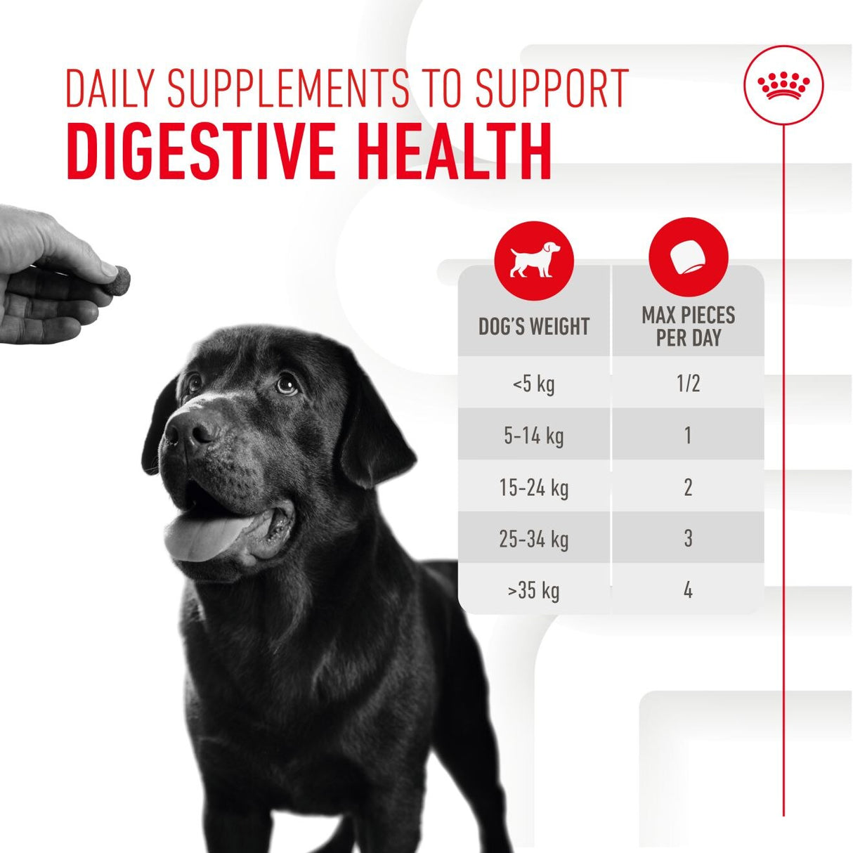 Royal Canin Dog Supplement for Digestion Soft Chews - 160g