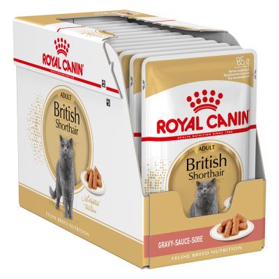 Royal Canin Feline Adult British Shorthair in Gravy - 12x85g
