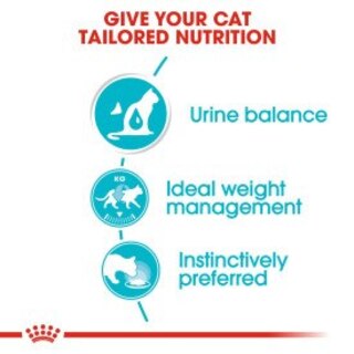 Royal Canin Feline Care Nutrition Urinary Care Wet Cat Food In Gravy - 48x85g