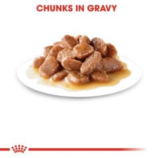 Royal Canin Feline Care Nutrition Urinary Care Wet Cat Food In Gravy - 48x85g