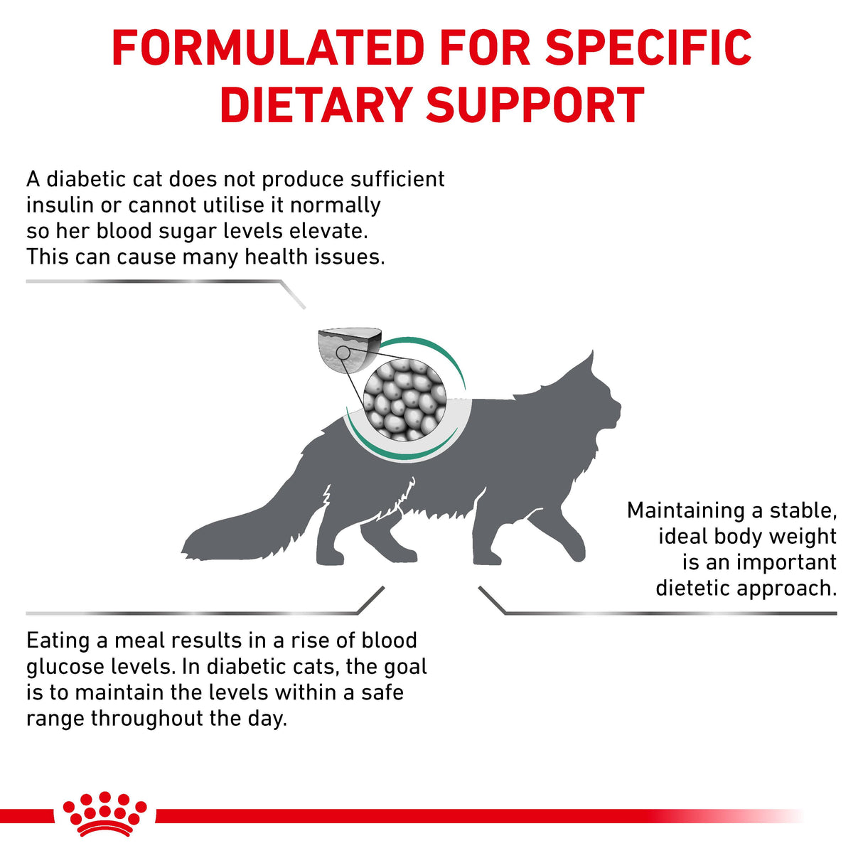 Royal Canin Diabetic Adult Dry Cat Food - 1.5kg