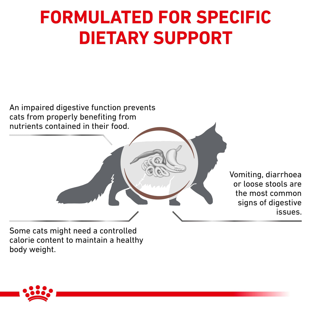 Royal Canin Gastrointestinal Moderate Calorie Adult Dry Cat Food - 4kg