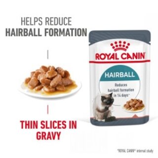 Royal Canin Feline Hairball Care in Gravy Cat Food Pouches