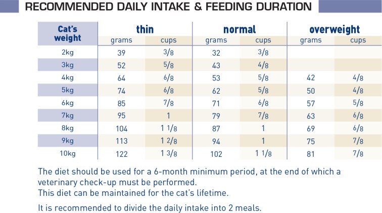 Royal Canin Feline Renal Dry Cat Food - 4Kg