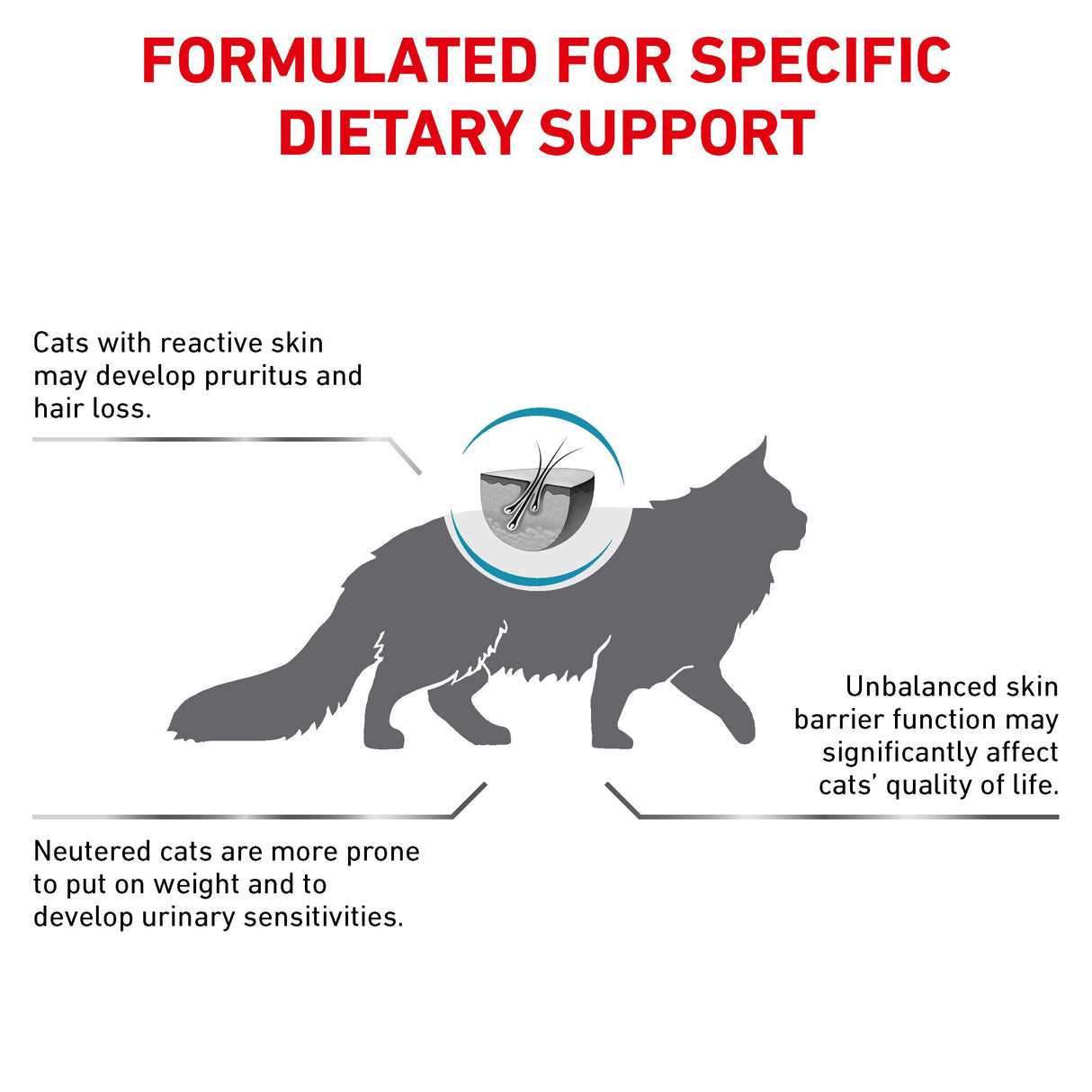 Royal Canin Skin & Coat Adult Dry Cat Food - 3.5kg