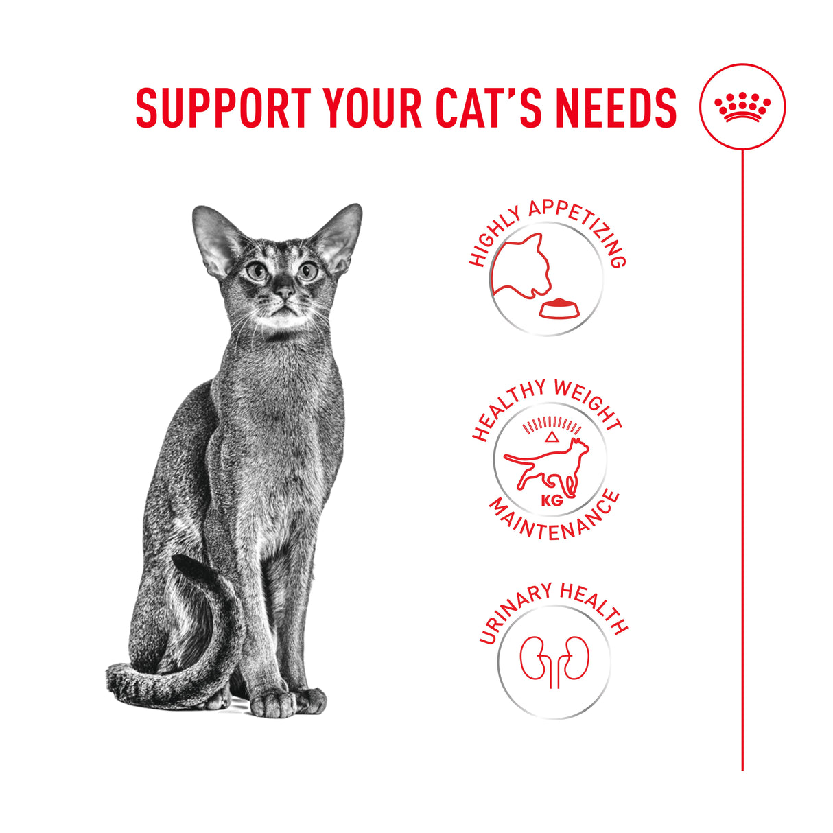 Royal Canin Fussy Adult Dry Cat Food - 4kg