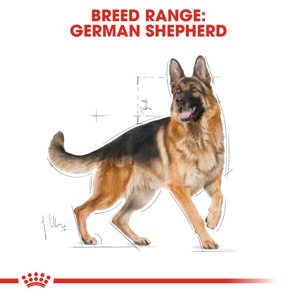 Royal Canin German Shepherd Adult Dry Dog Food 15kg
