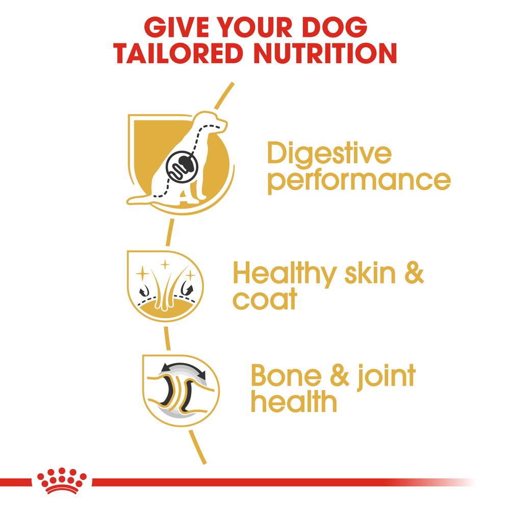 Royal Canin German Shepherd Adult Dry Dog Food 15kg