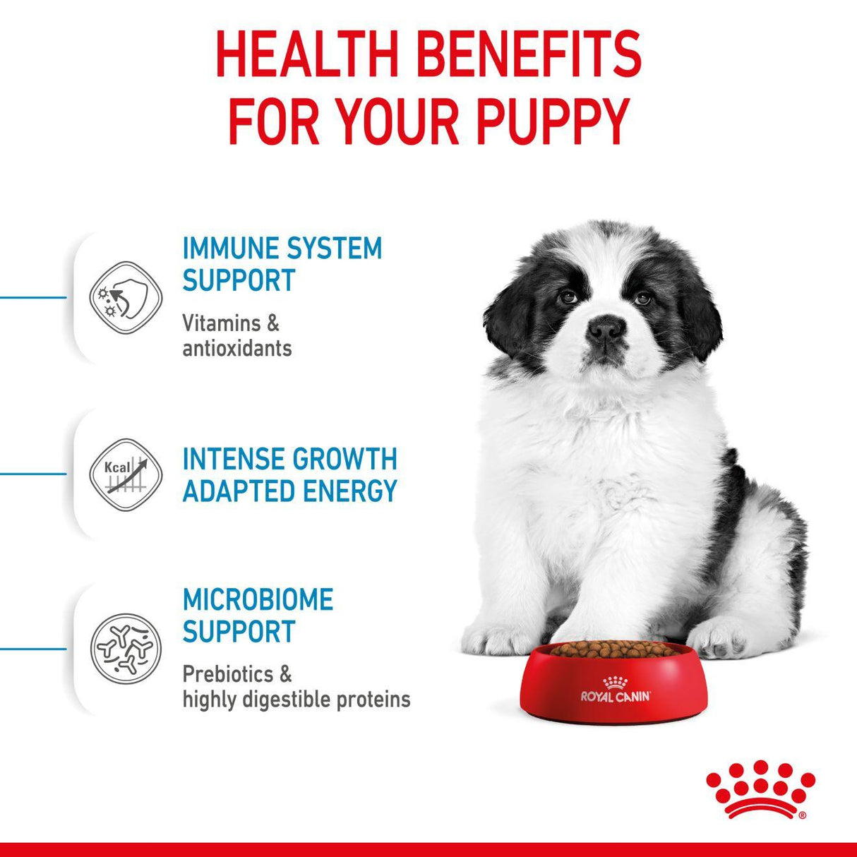 Royal Canin Giant Puppy Dry Dog Food - 15kg