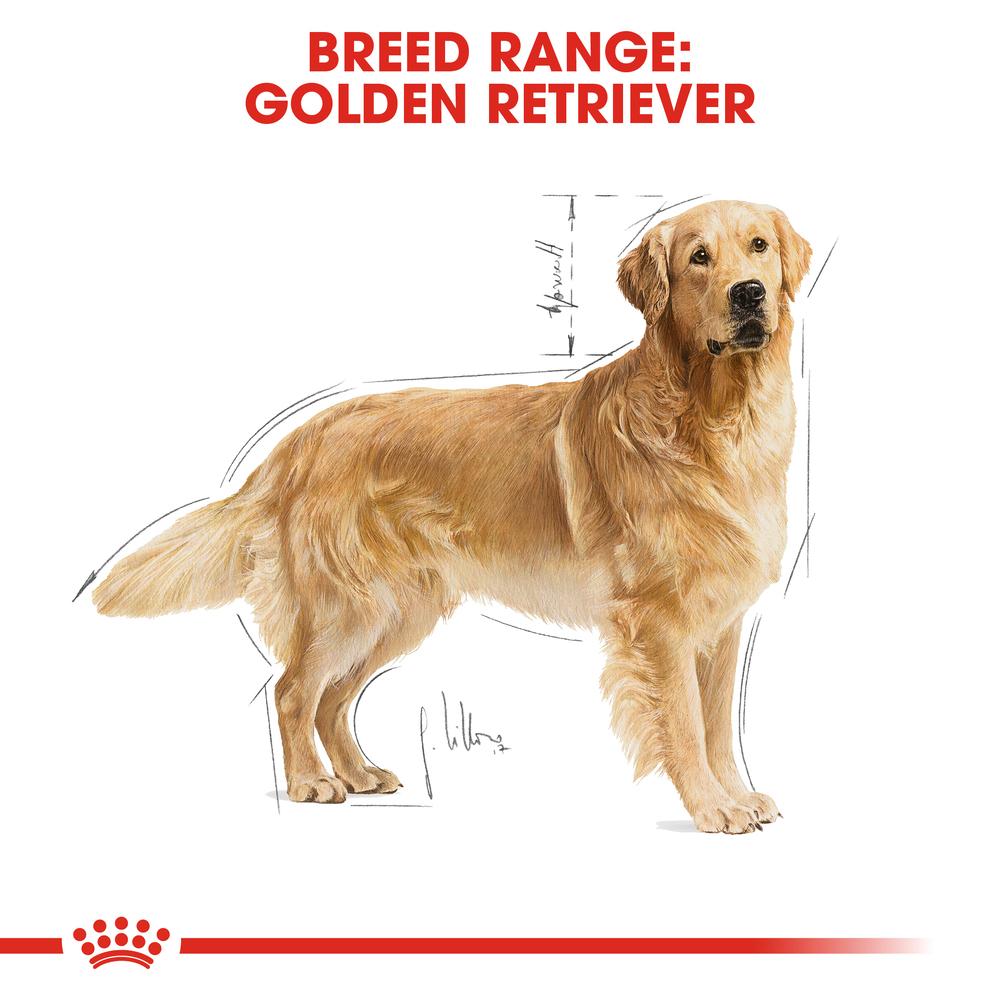 Royal Canin Golden Retriever Adult Dry Dog Food 15kg