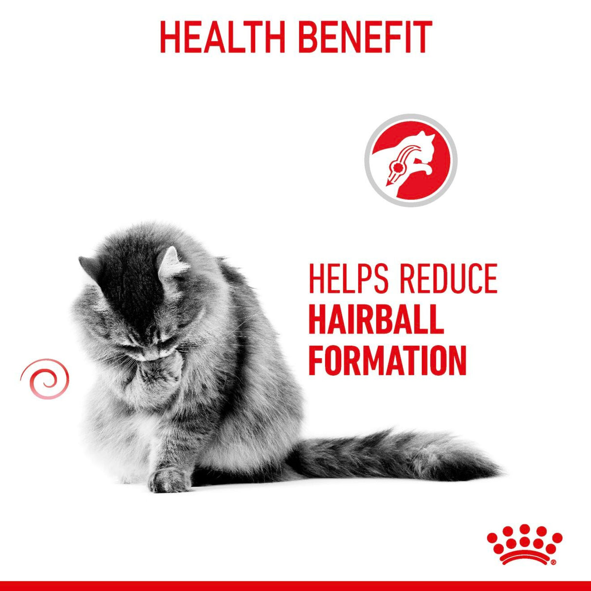 Royal Canin Hairball Care Dry Cat Food - 4kg
