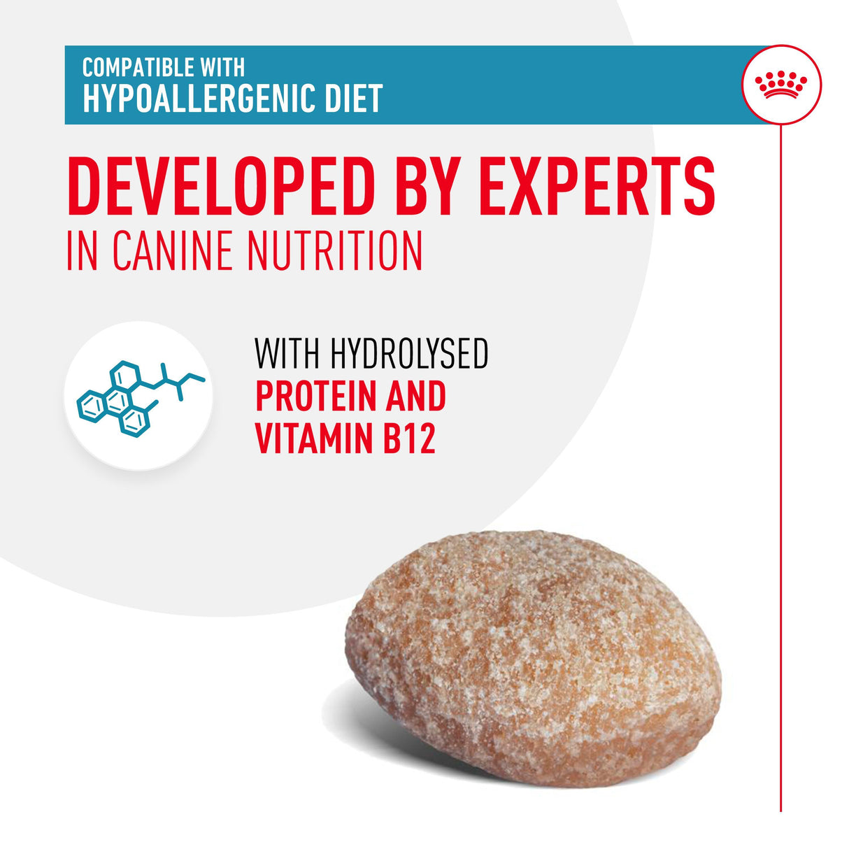 Royal Canin Hypoallergenic Dog Treats - 230g