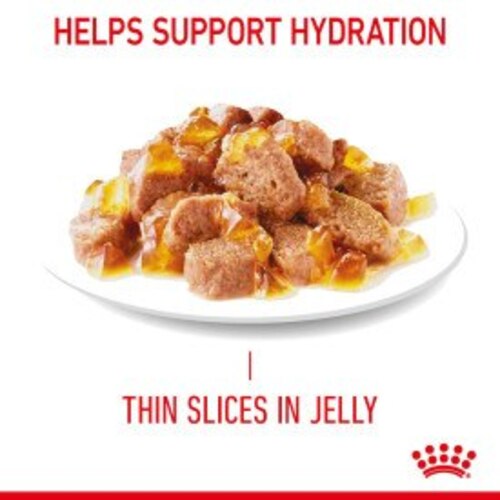 Royal Canin Hair & Skin in Jelly Cat Food Pouches - 12 x 85g