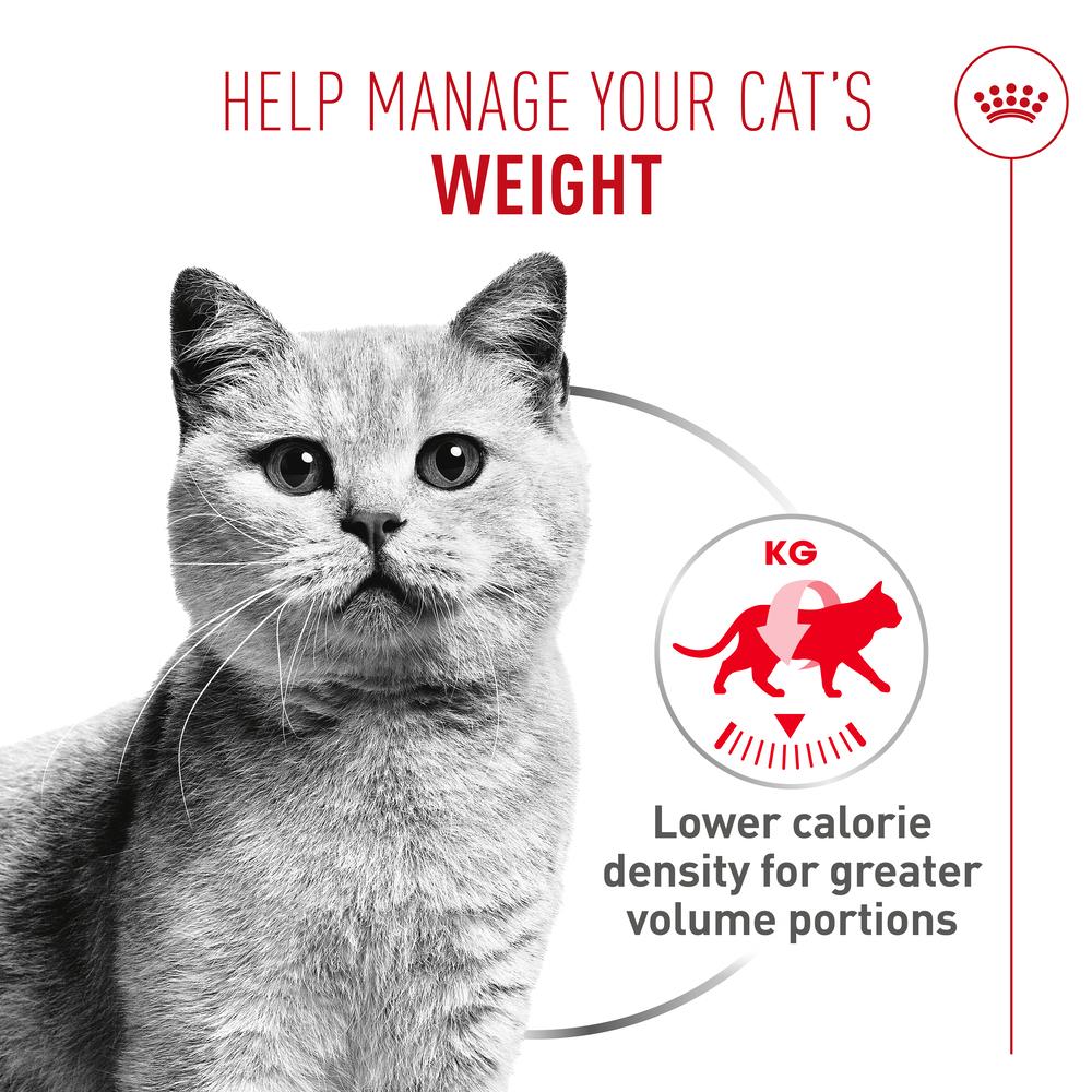 Royal Canin Light Airlift Mousse Adult Wet Cat Food 12 x 85g