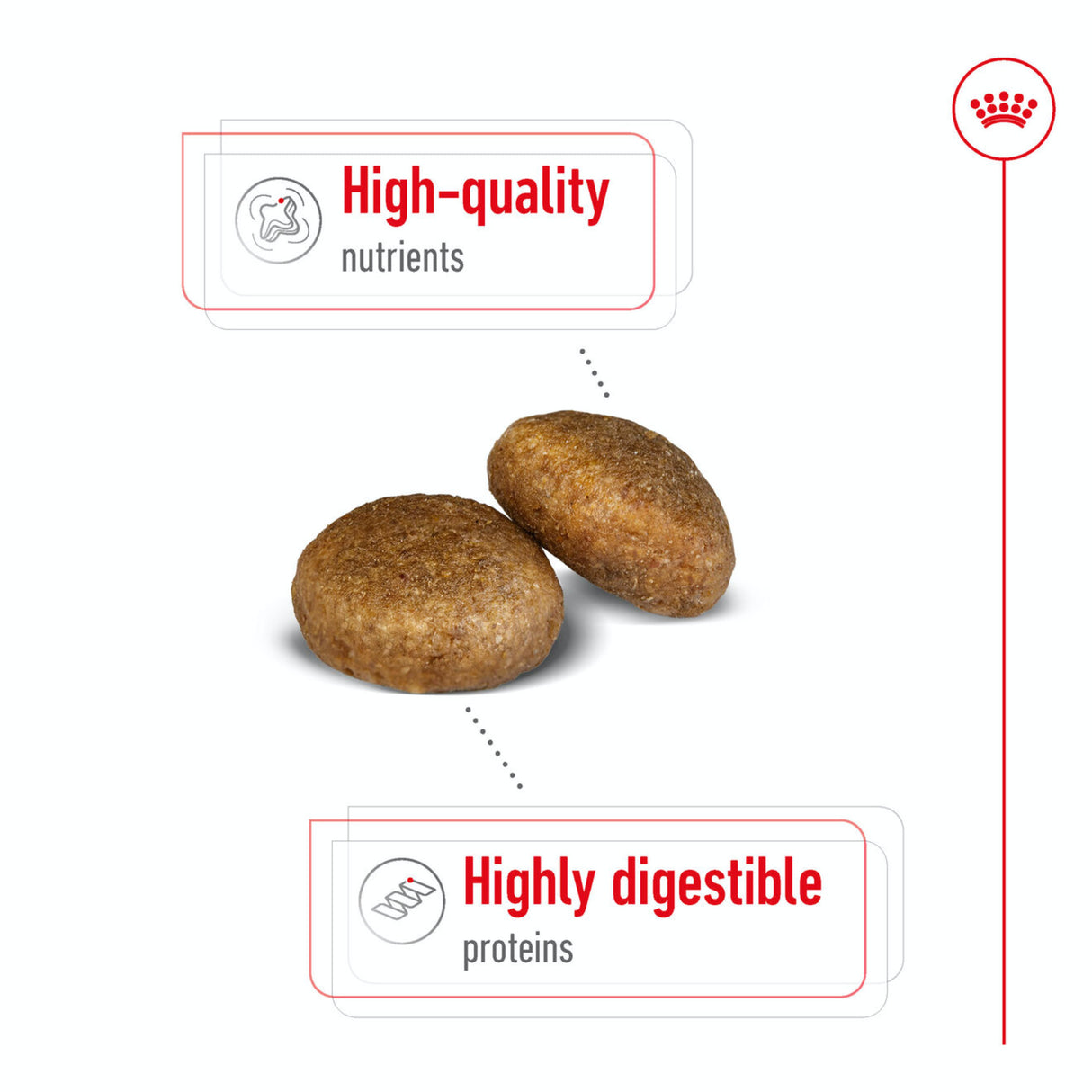 Royal Canin Size Health Nutrition Maxi Adult Dry Large Dog Food - 15kg