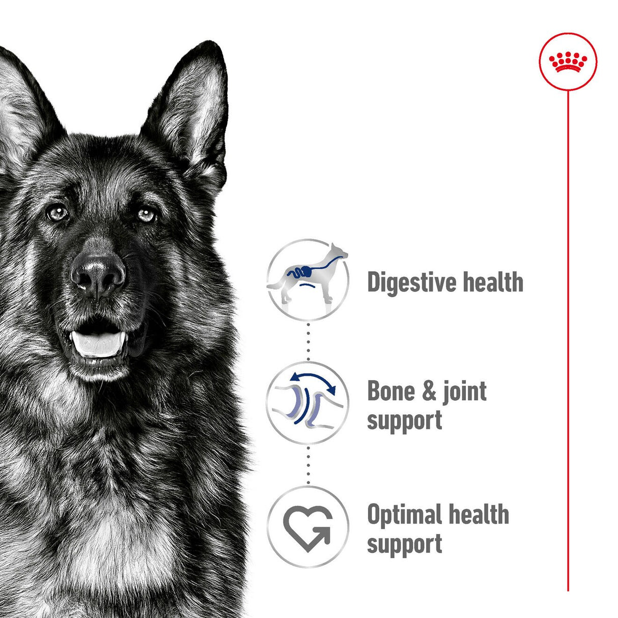 Royal Canin Size Health Nutrition Maxi Adult Dry Large Dog Food - 3kg