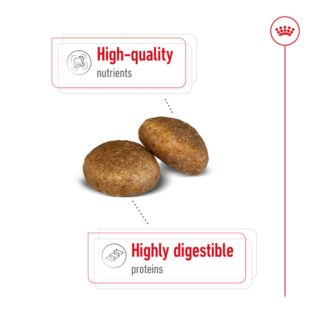 Royal Canin Size Health Nutrition Maxi Adult Dry Large Dog Food - 3kg