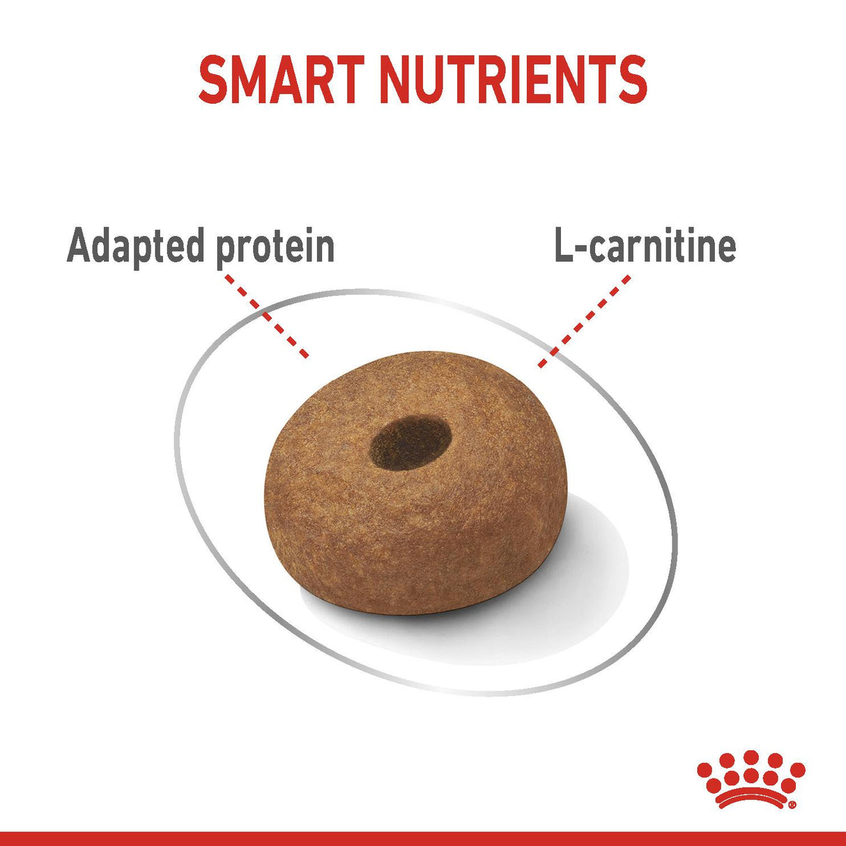 Royal Canin Maxi Light Weight Care Dry Adult Dog Food - 12kg