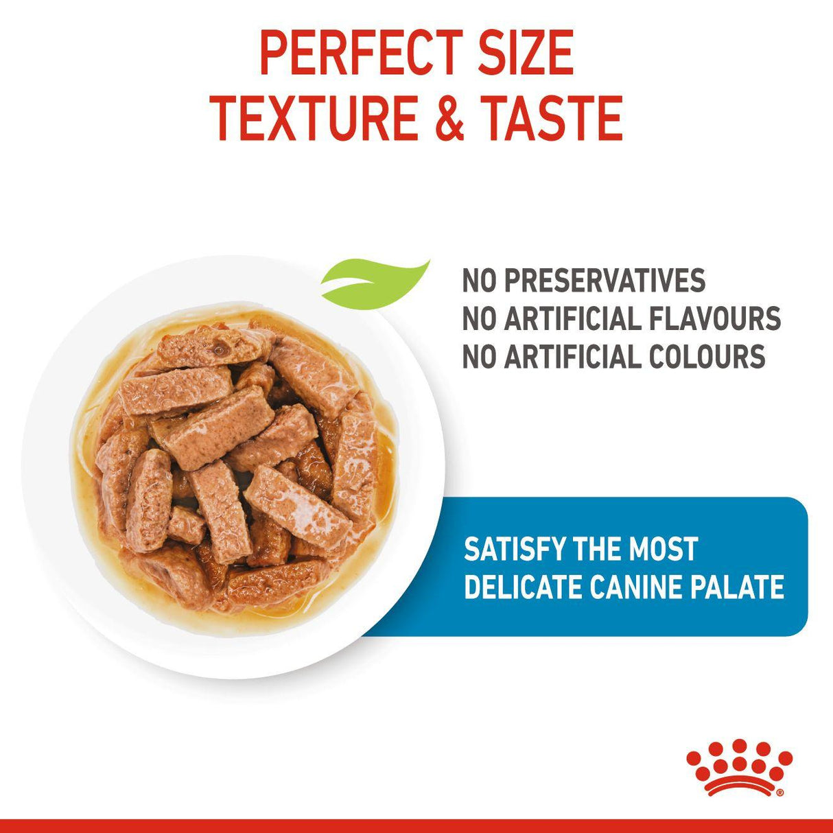Royal Canin Maxi Puppy Wet Dog Food in Gravy - 10 x 140g