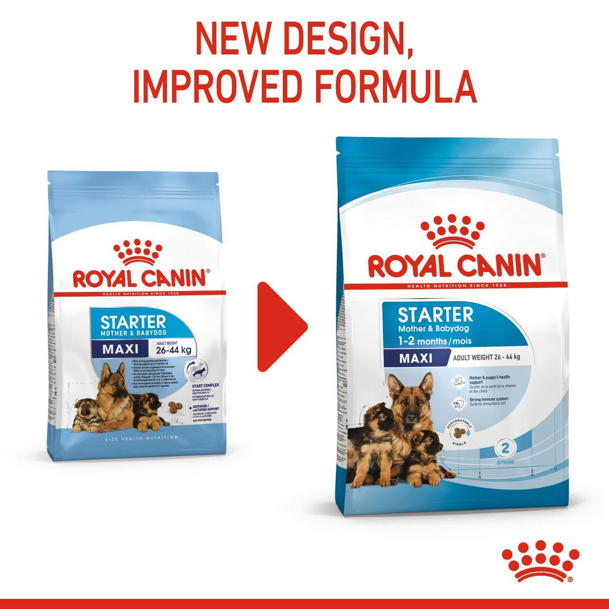 Royal Canin Maxi Starter Mother & Baby Dog - 4kg