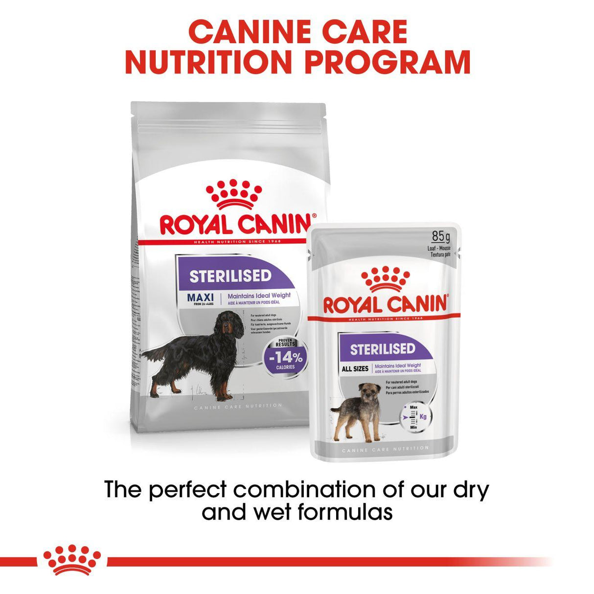 Royal Canin Maxi Sterilised Dry Dog Food - 12kg