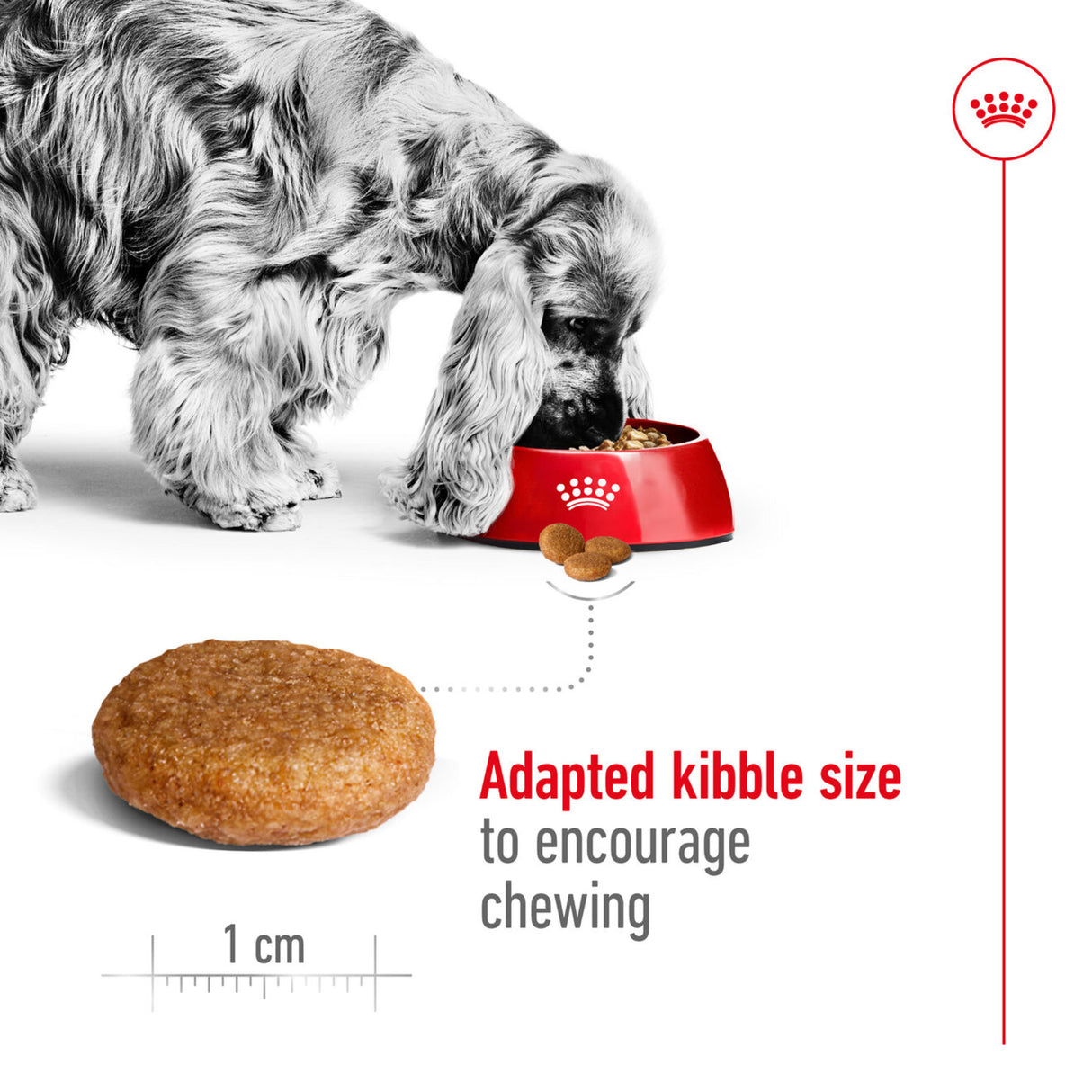 Royal Canin Size Health Nutrition Medium Adult Dry Dog Food - 15kg