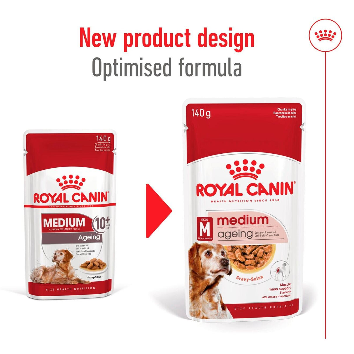 Royal Canin Medium Ageing 10+ Wet Dog Food in Gravy - 10 x 1