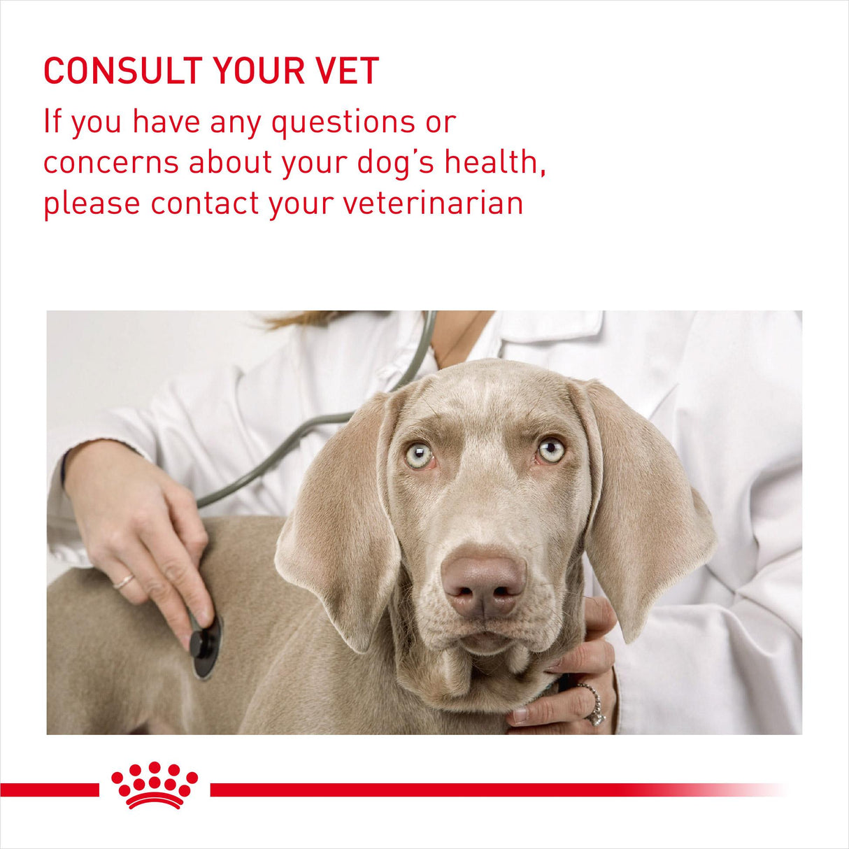 Royal Canin Medium Light Weight Care Dry Dog Food - 3kg