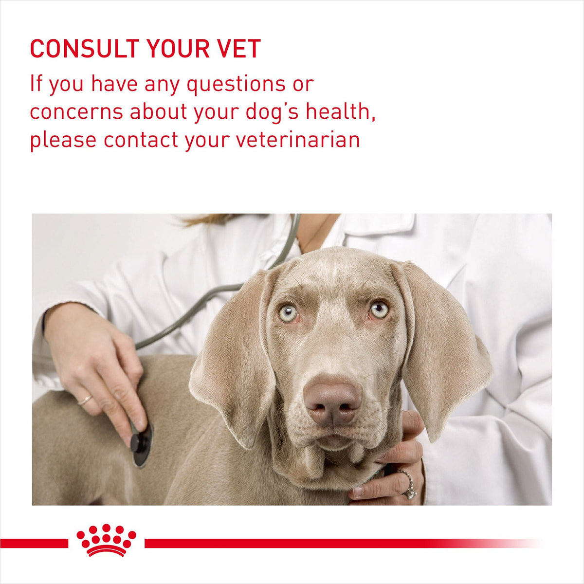 Royal Canin Medium Nutrition Dry Dog Food
