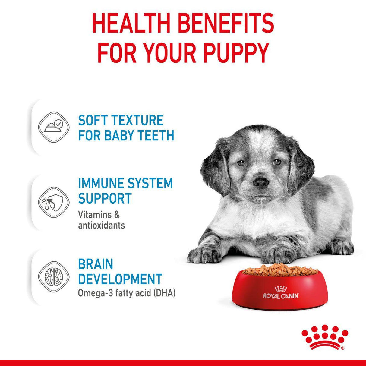 Royal Canin Medium Puppy Wet Dog Food in Gravy - 10x 140g