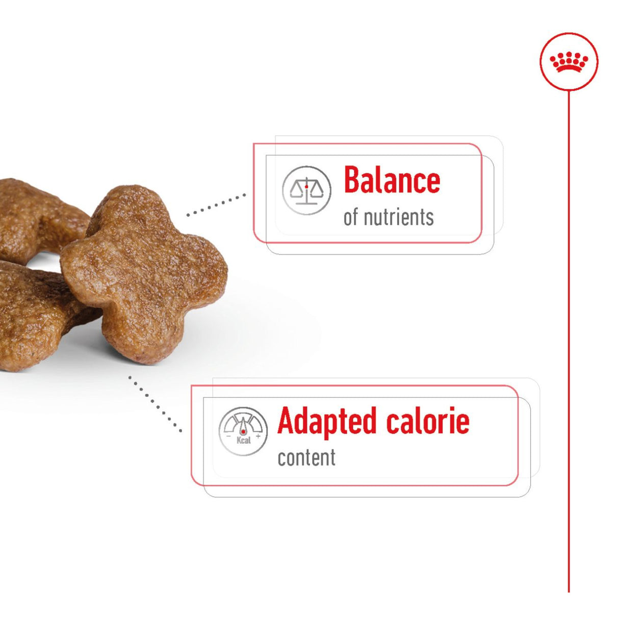 Royal Canin Mini Adult 8+ Dry Dog Food - 2kg