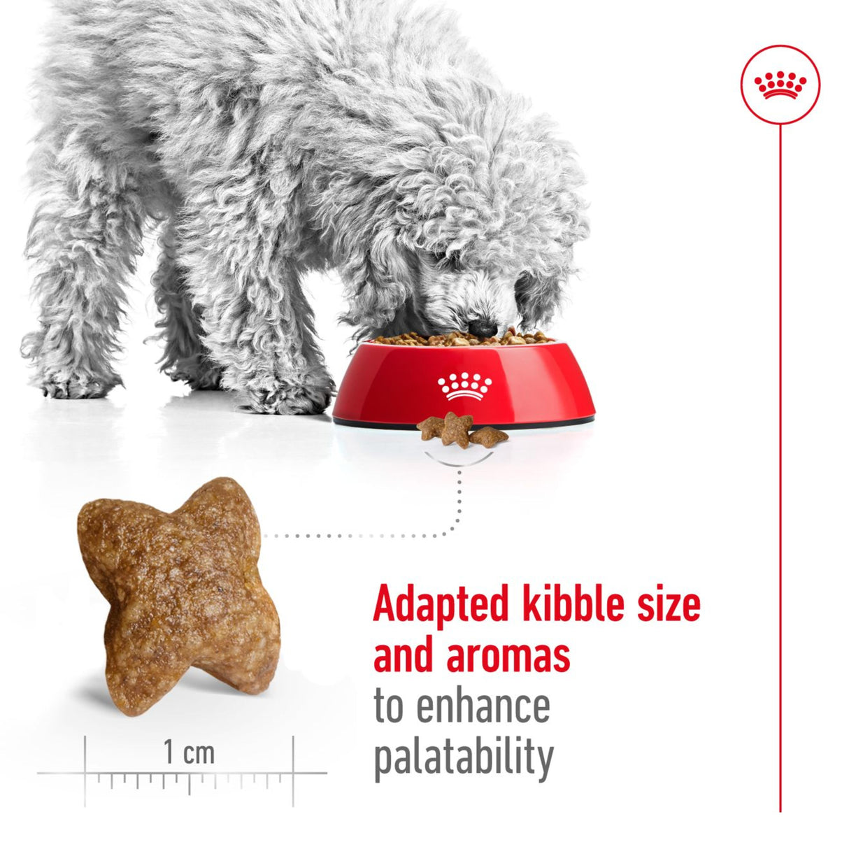 Royal Canin Size Health Nutrition Mini Adult Dry Small Dog Food - 8kg