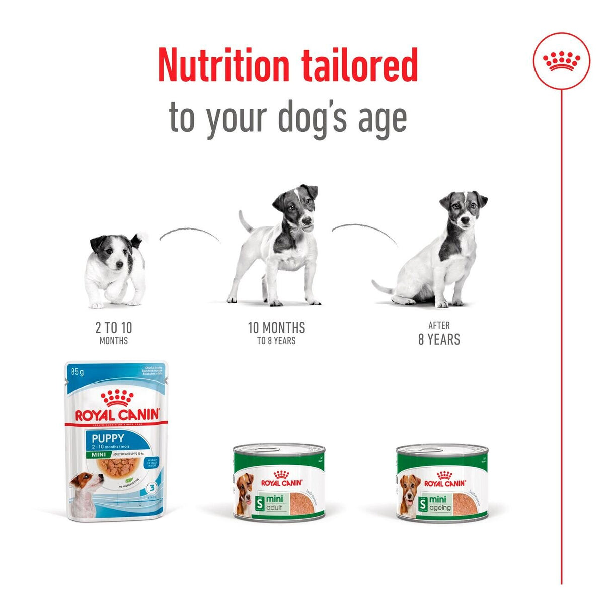 Royal Canin Mini Ageing 8+ Wet Dog Food Chunks In Loaf - 12 x 195g