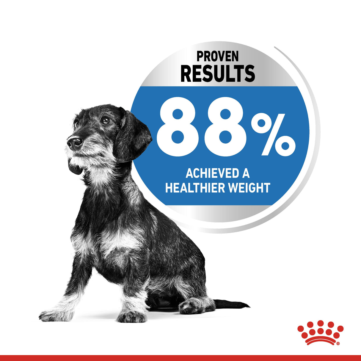 Royal Canin Mini Light Weight Care Adult Dry Dog Food - 8kg