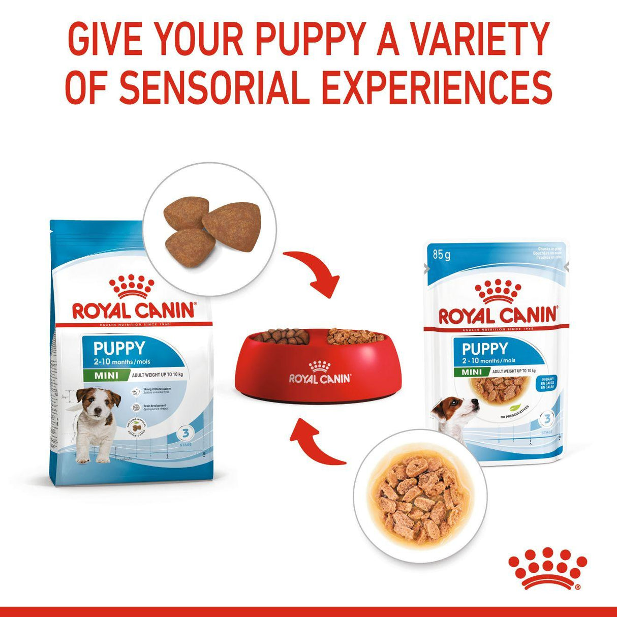Royal Canin Mini Puppy Dry Dog Food - 8kg