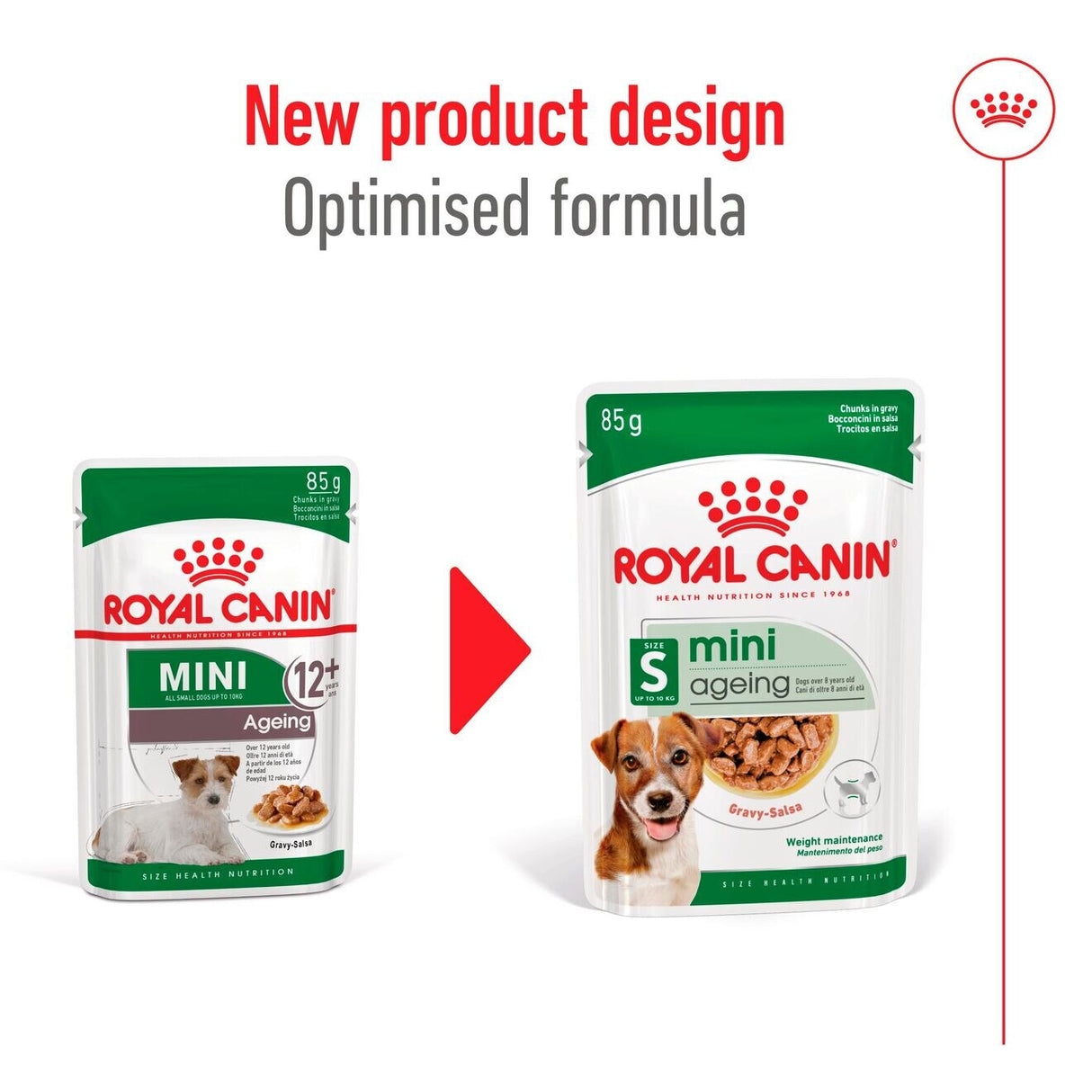 Royal Canin Mini Ageing 12+ Wet Dog Food In Gravy - 1