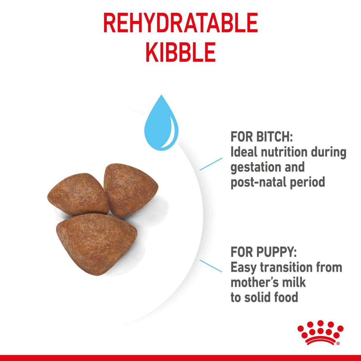 Royal Canin Mini Starter Mother & Baby Dog Food - 4kg
