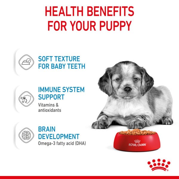 Royal Canin Medium Puppy Wet Dog Food Pouches - 40 x 140g