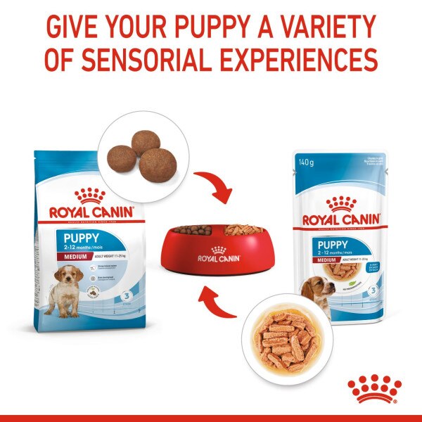 Royal Canin Medium Puppy Wet Dog Food Pouches - 40 x 140g