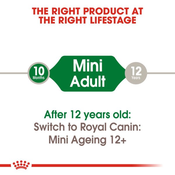 Royal Canin Mini Adult Wet Dog Food Pouches - 48 x 85g