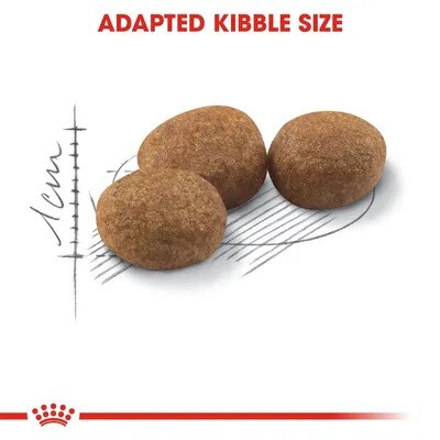 Royal Canin Sterilised 37 Adult Dry Cat Food 10kg