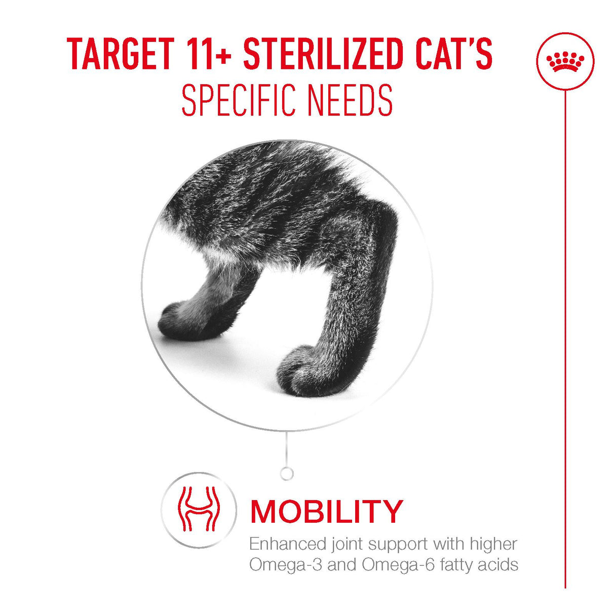 Royal Canin Sterilised Ageing 11+ Senior Dry Cat Food - 2kg