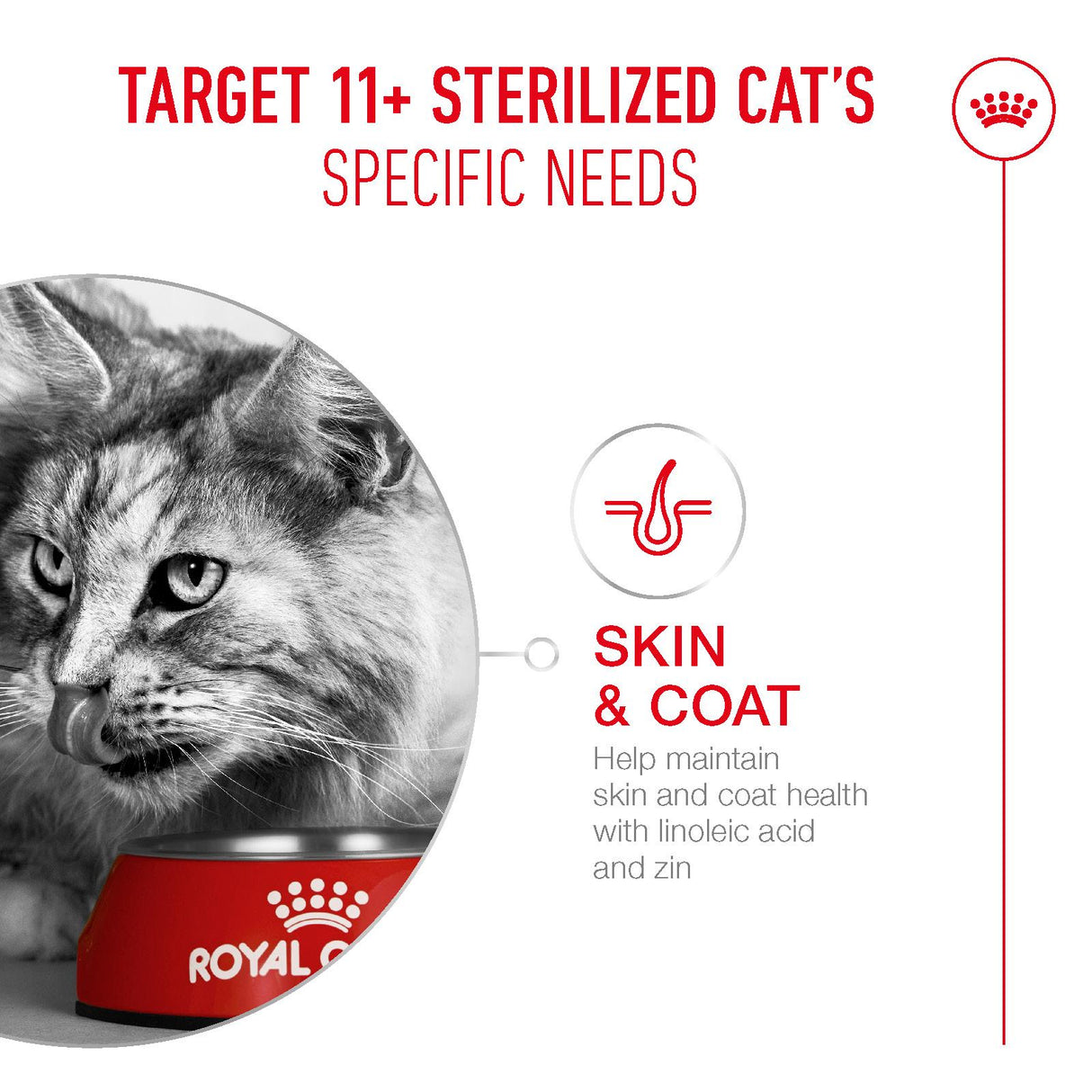 Royal Canin Sterilised Ageing 11+ Senior Dry Cat Food - 400g