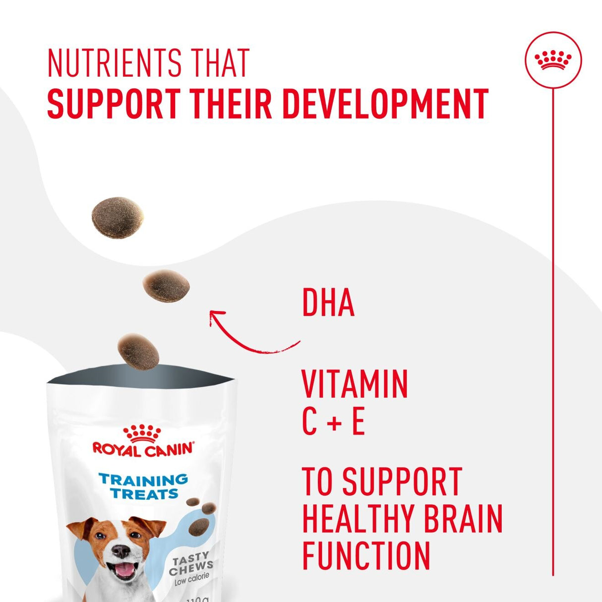 Royal Canin Training Treats - 110g