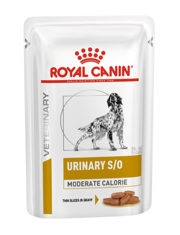 Royal Canin Urinary S/O Moderate Calorie Thin Slices in Gravy Adult Wet Dog Food - 48 x 100g